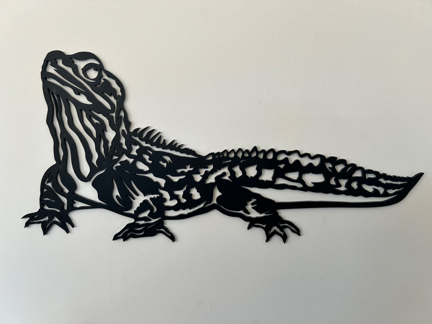 Aotearoa Natives